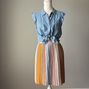 Anthropologie | Eva Franco Knit Metallic Stripe Pleated Skirt